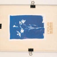 Kit Cyanotype Complet Pour D Buter Tout Pour Le Cyanotype