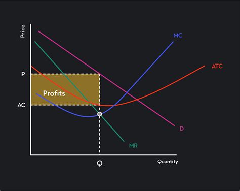 What Is Profit Maximization Outlier