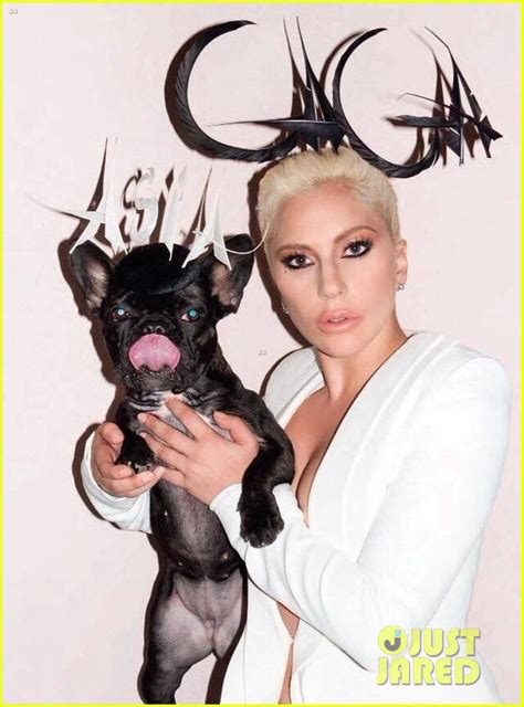 Lady Gaga & Her Pup Asia Rock Matching Hats in 'V Mag': Photo 3546886 ...