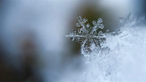 Warum Schneit Es Im Winter Einfach Erkl Rt