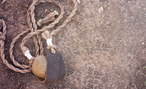 David s Sling stock photo. Image of stones, sling, biblical - 14395020