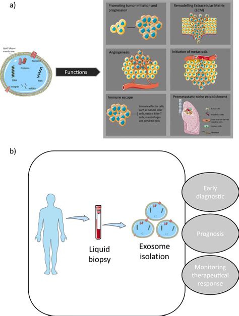 Exosomes A New Perspective In Egfr Mutated Lung Cancer Abstract