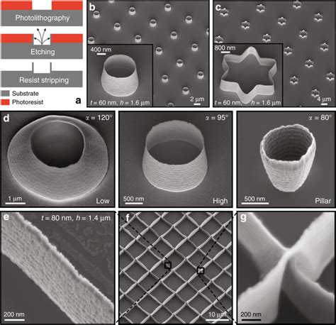 D Microsystems Nanoengineering X Mol