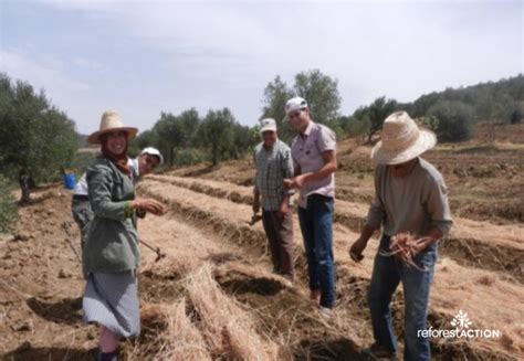 Brachoua (Morocco) | Reforest'Action