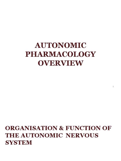 Autonomic Pharmacology Overview | PDF | Acetylcholine | Autonomic ...