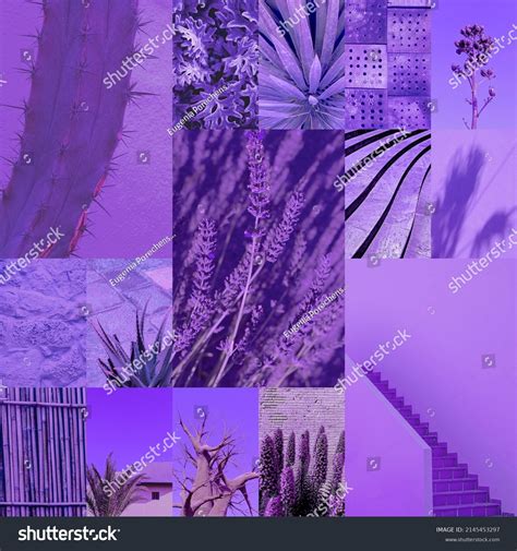 Set Trendy Aesthetic Photo Collages Minimalistic Stock Photo 2145453297 ...