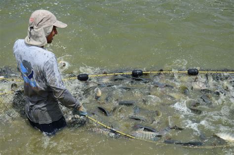 Épocas y zonas de veda para captura en Laguna de Yuriria Sitquije