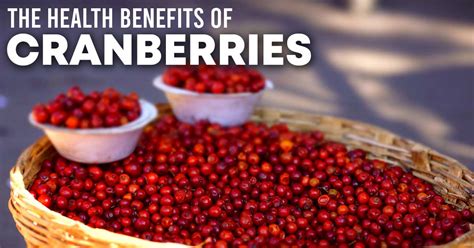 Health Benefits Of Cranberry Why You Should Eat Them All Year