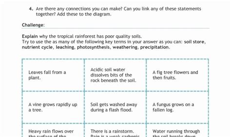 50 Nutrient Cycles Worksheet Answers