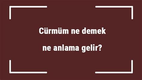 Cürmüm ne demek ne anlama gelir TDK ya göre cürmüm kelimesi sözlük anlamı