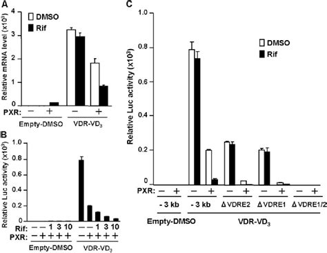 Figure 2 From Nuclear Xenobiotic Receptor Pregnane X Receptor Locks