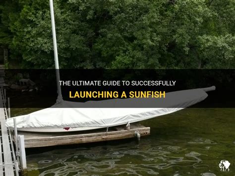 The Ultimate Guide To Successfully Launching A Sunfish Petshun