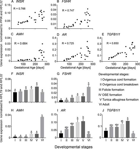 A E Scatter Plots Of Mrna Expression Levels From Genes Which Are