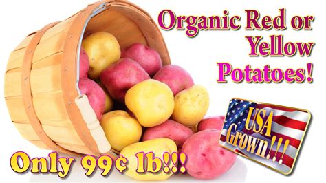 USA Organic Red Or Yellow Potatoes Yellow Potatoes Fresh Produce