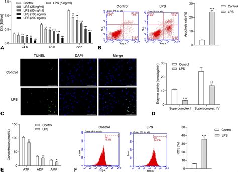 Puerarin Alleviates Lps Induced H9c2 Cell Injury By Inducing