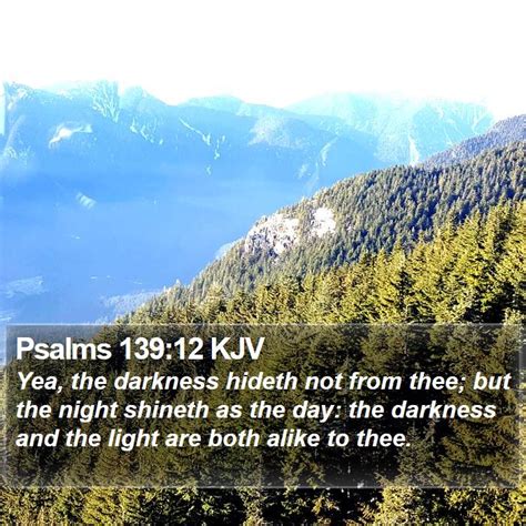 Psalms 139:12 KJV - Yea, the darkness hideth not from thee; but the