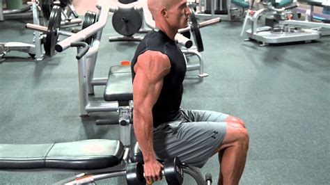 12 Best Cable Bicep Curl Alternatives ( Works Same Muscles) - Fitnessproworkout.com