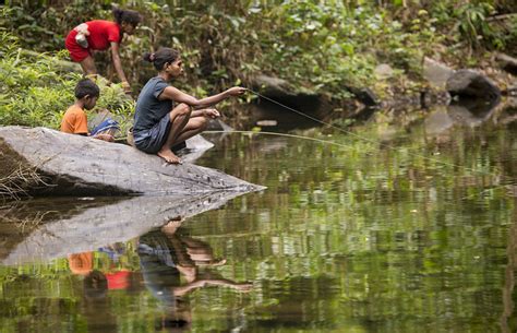 Newly Declared Critical Habitat In Palawan Secures Promising Future For Irreplaceable Forests ...