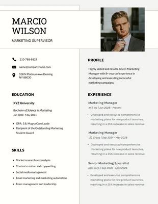 Marketing Executive Resume Template Venngage