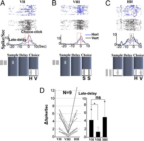 Late Delay Activity And Choice Response In VH A VHI B And HH C