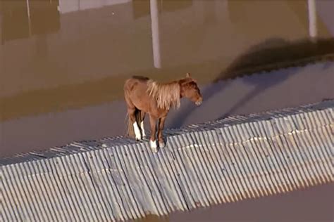 Meteoro Cai E Explode Sobre O Estado Do Rio Grande Do Sul Veja O V Deo