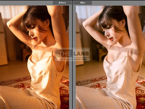 VShare Preset Tổng Hợp Preset Hot Nhất Dành Cho Ảnh Chân Dung Ngoại Cảnh Phong Cách Việt
