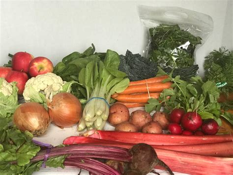 Organic Weekly Produce Subscription – Local Yokels