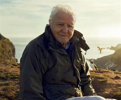 The Bbc Should Broadcast Sir David Attenborough S Wild Isles Episode On