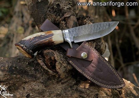 Custom Handmade Forged Damascus Steel Hunting Knife With Stag And Brass Guard Handle Comes With