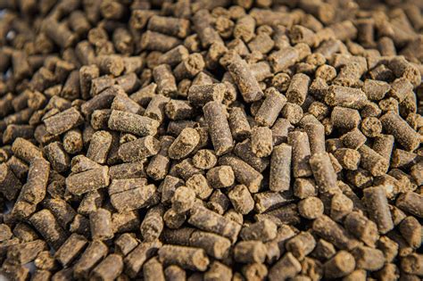 What Is Meat And Bone Meal Mbm Plant I Boost