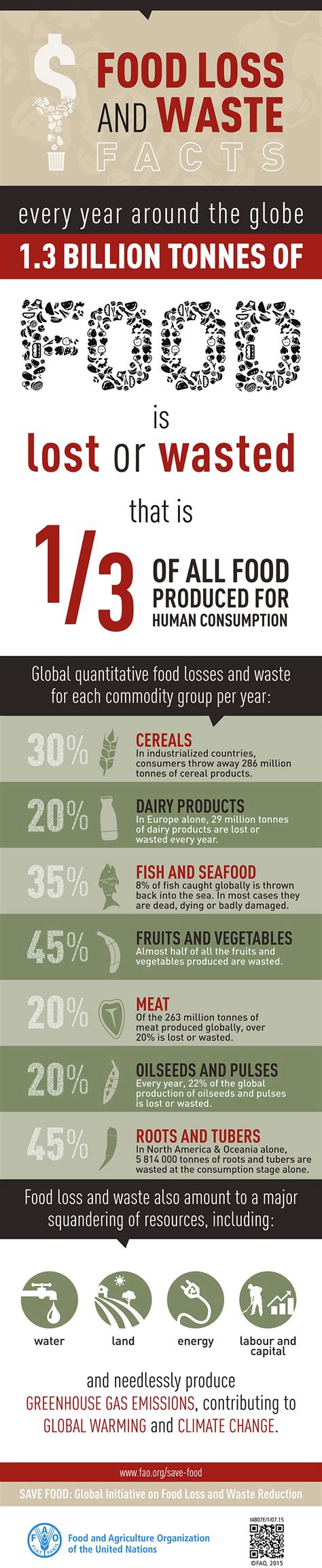 Food Loss Waste Facts Infographic Best Infographics