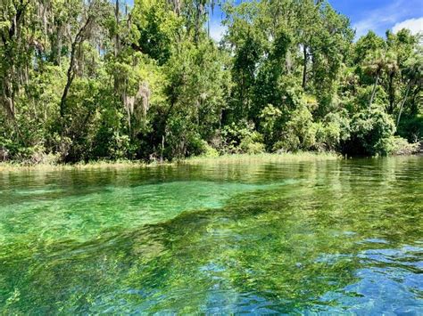 Rainbow Springs Kayaking and Tubing - impulse4adventure