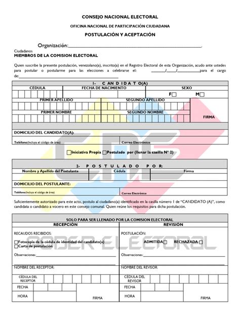 Formato De Postulacion Y Aceptacion Pdf Gobierno Elecciones