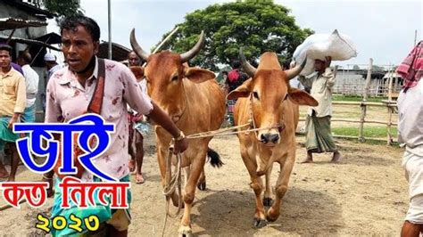 Bhai Koto Nilo Paragram Hozrotpur Gorur Haat 2023 Part 13 Cow