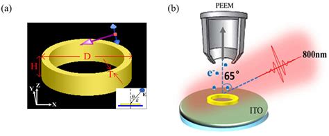 A Diagram Of Gold Nanoring Structure Used In The PEEM Experiment And