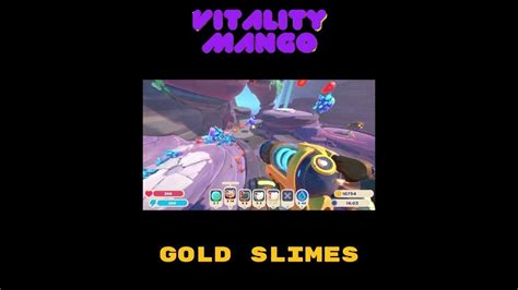 Slime Rancher 2[][] Gold Slimes Youtube