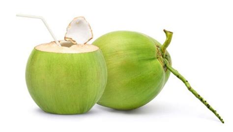 A Grade Solid Tender Coconut Packaging Size Kg Coconut Size