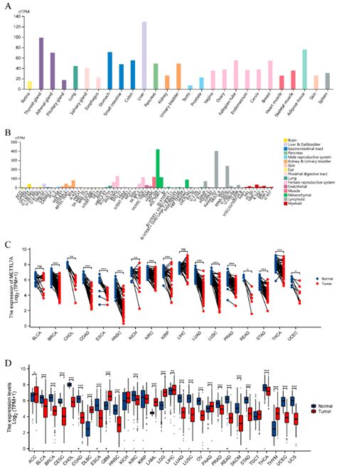 Expression Level Of Mettl A Gene In Tumor And Normal Tissues A