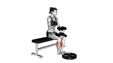 Seated Dumbbell Calf Raise