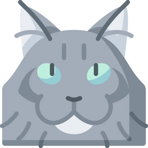 Maine Coon Special Flat Icon