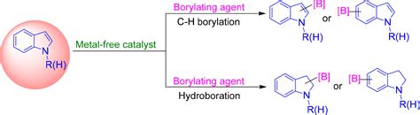 Metal Free C H Borylation And Hydroboration Of Indoles Acs Omega