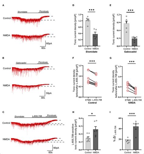 Figure Nmda Treatment Reduces Gabaergic Tonic Conductance In