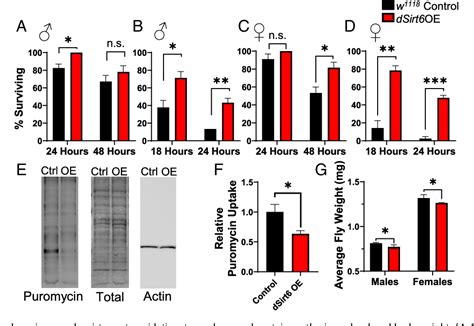 Pdf Sirt Regulates Lifespan In Drosophila Melanogaster Semantic