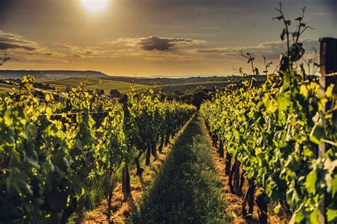 Sonnenuntergang über den Weinbergen in Brackenheim Flickr