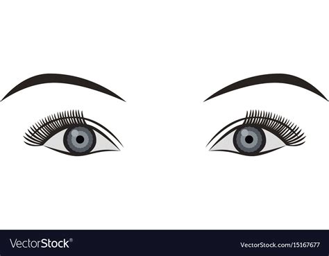 Object Pair Eyes Grey Isolated Royalty Free Vector Image