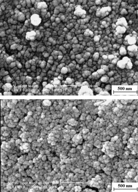 Sem Micrograph Of Magnetite Nanoparticles With Semispherical Morphology Download Scientific