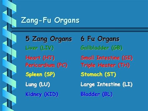 Zangfu Physiology Traditional Chinese Internal Medicine Tcm Traditional