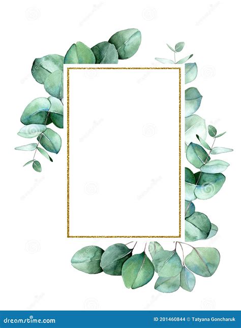 Cadre Rectangulaire D Or Avec Les Feuilles Vertes D Eucalyptus Dessin