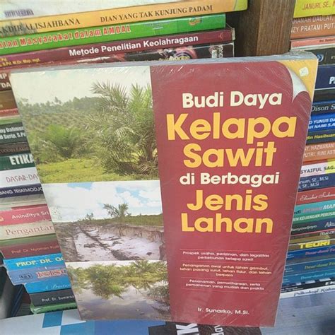 Budidaya Kelapa Sawit Di Berbagai Jenis Lahan Shopee Indonesia