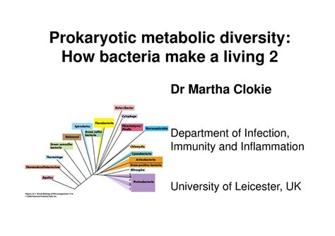 Lecture Notes Prokaryotic Metabolic Diversity How Bacteria Make A